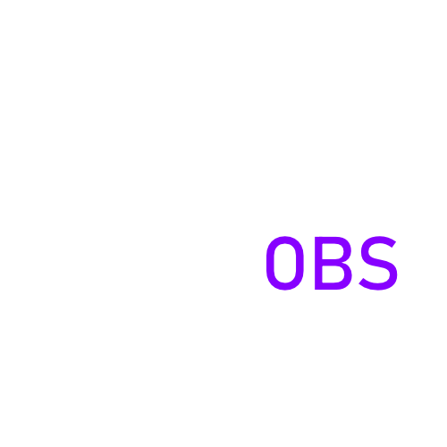 PRINT OBS